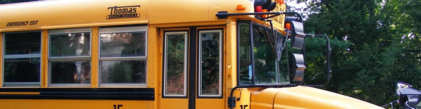 School Bus Driver Resume: Example, Tips & Job Description