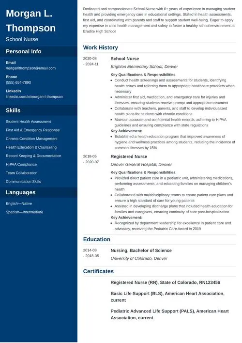 School Nurse Resume Sample