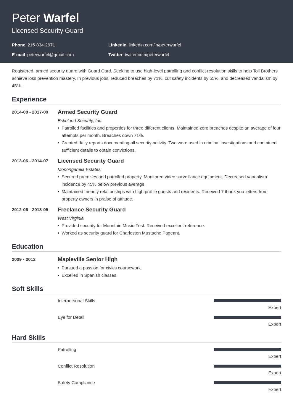 Security Guard Resume Examples Job Description 2024