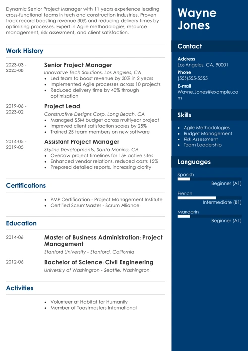 senior project manager resume example
