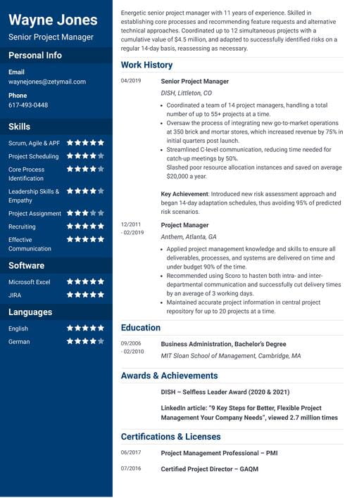 Senior Project Manager Resume Guide: Examples & Tips