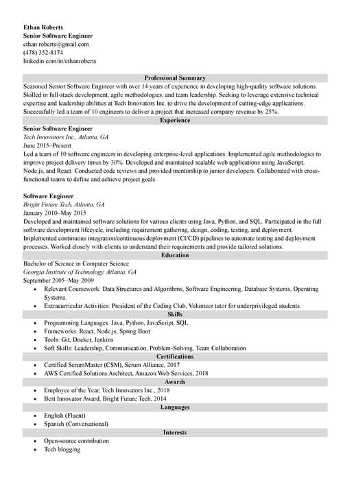 Senior Level Resume example