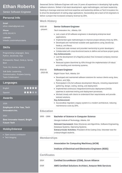 Senior Level Resume example