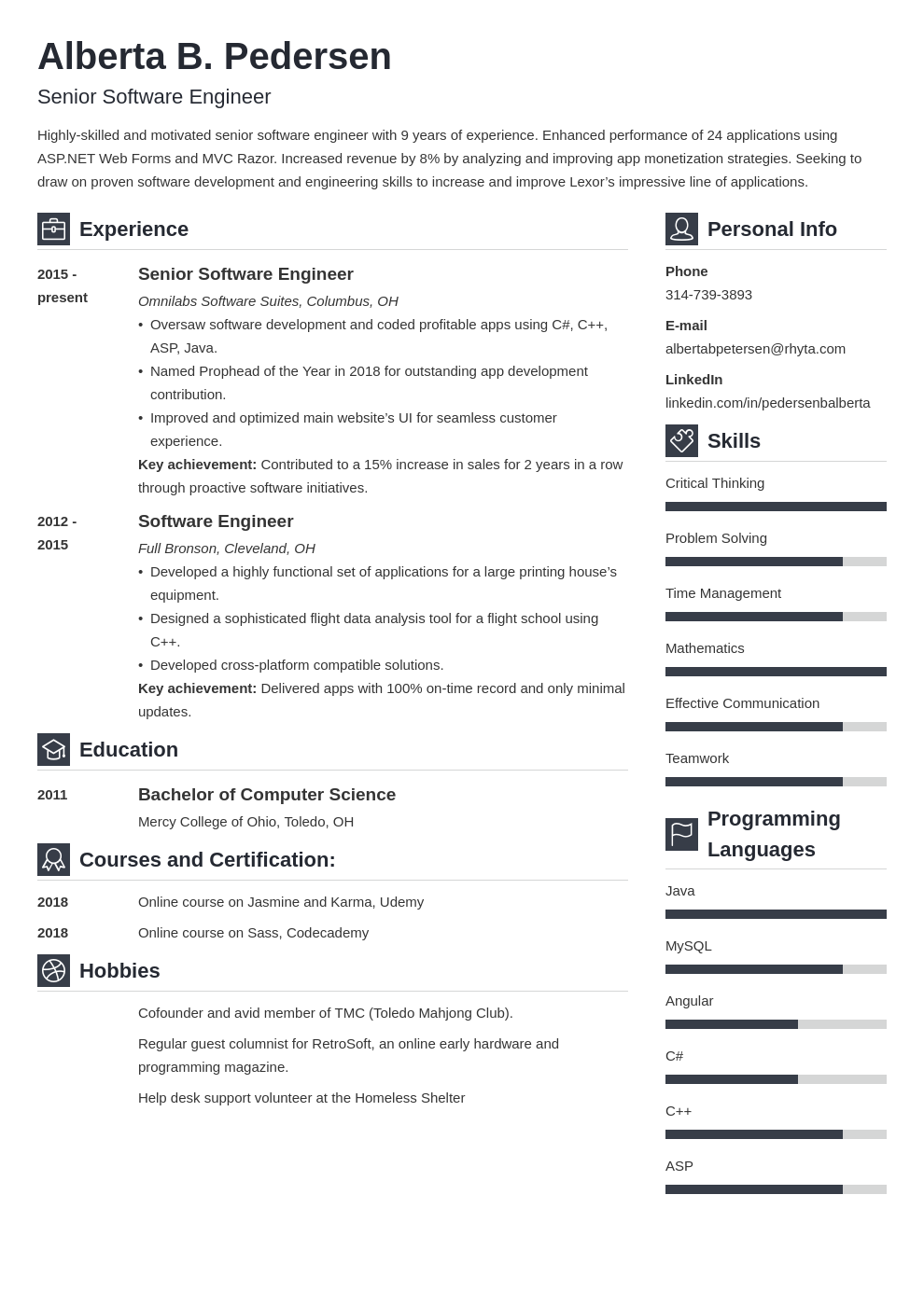 Senior Software Engineer Description Template