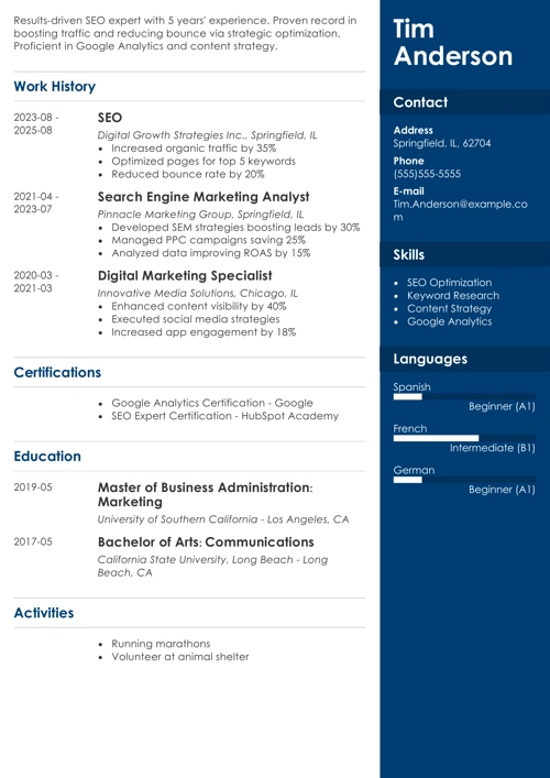 Seo resume example
