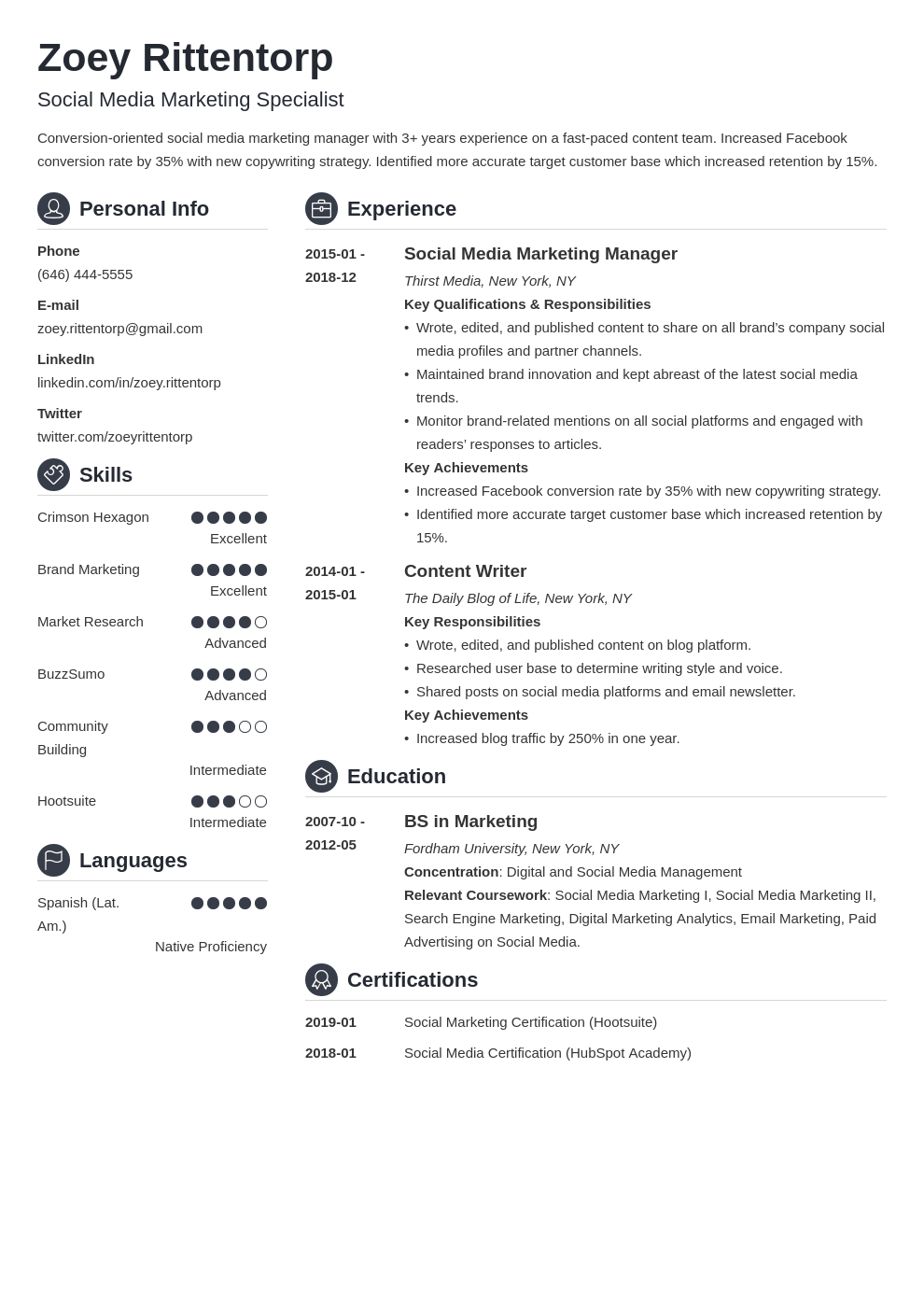 social media resume example template crisp