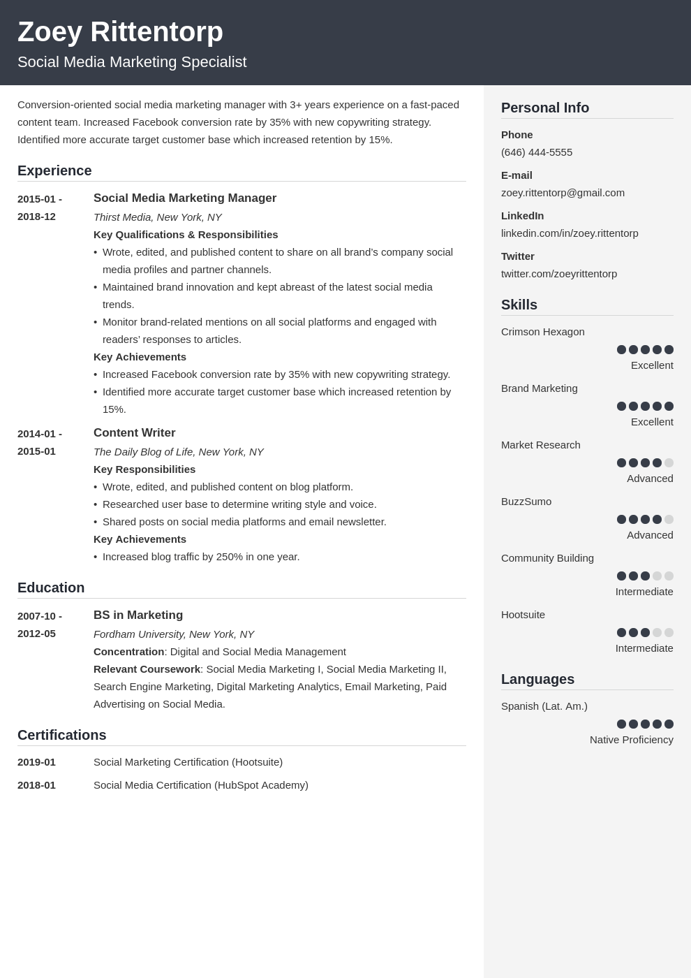 social media resume example template cubic