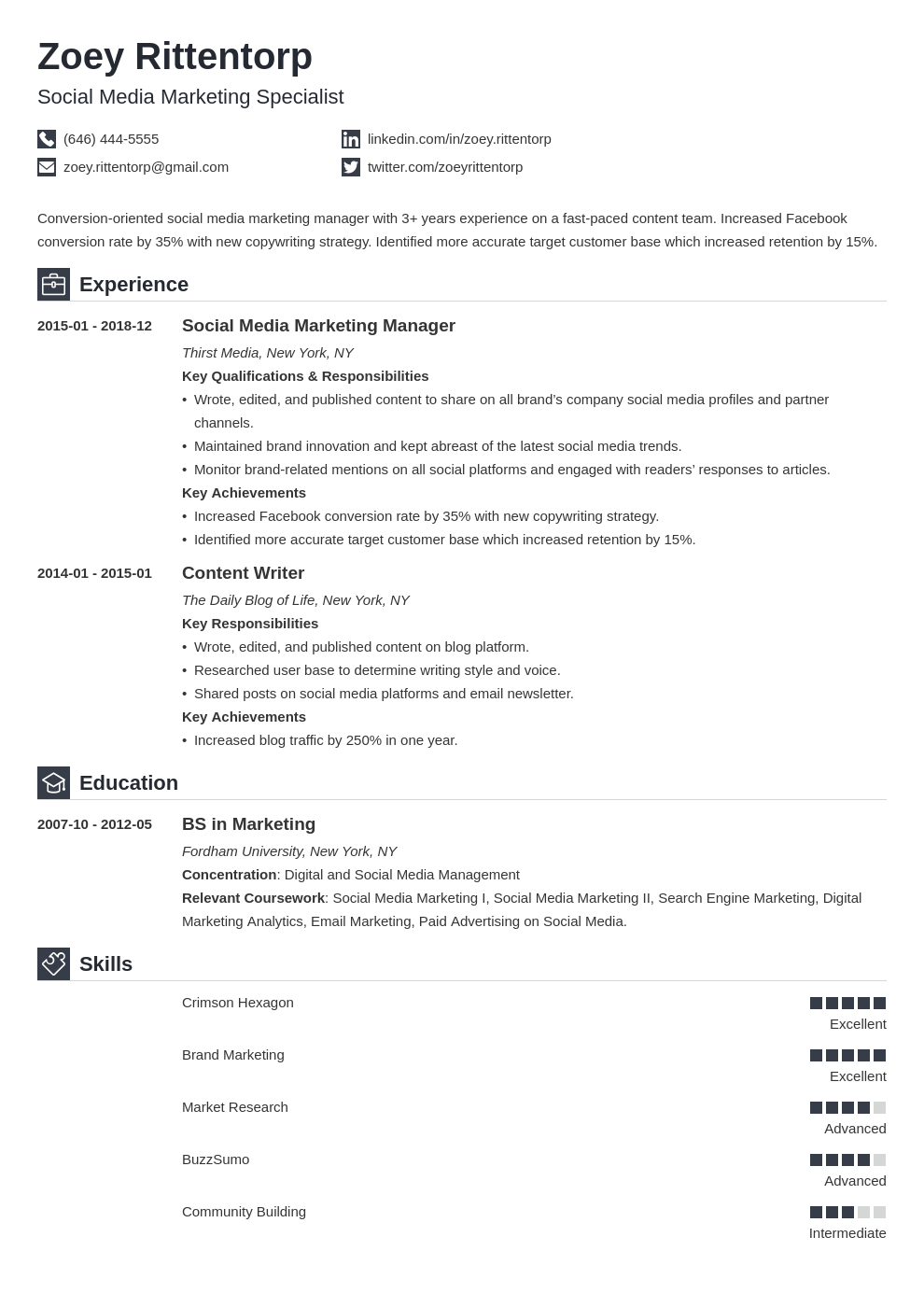 social media resume example template iconic