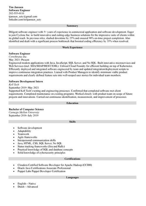 sample resume example