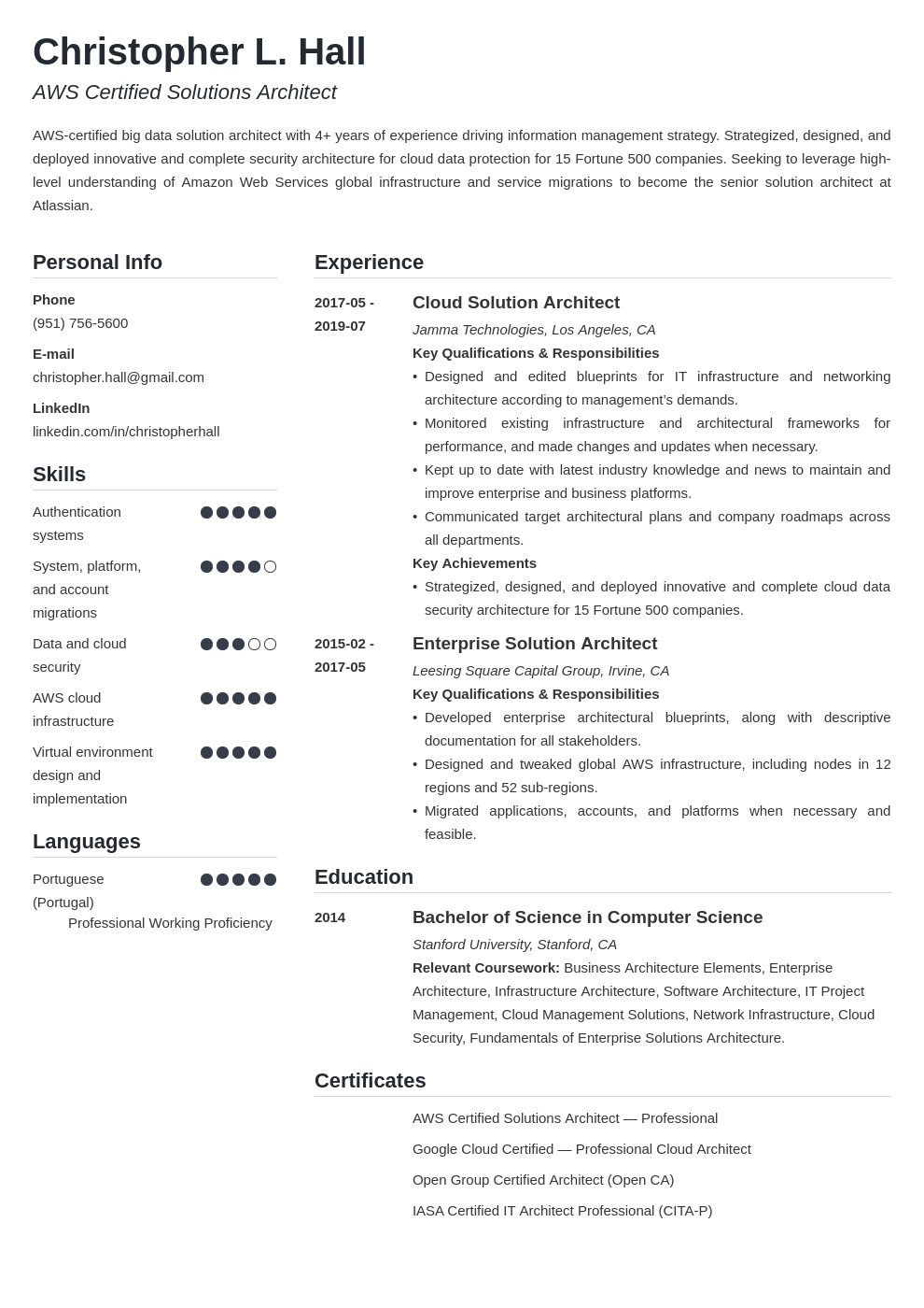 solution architect resume example template simple