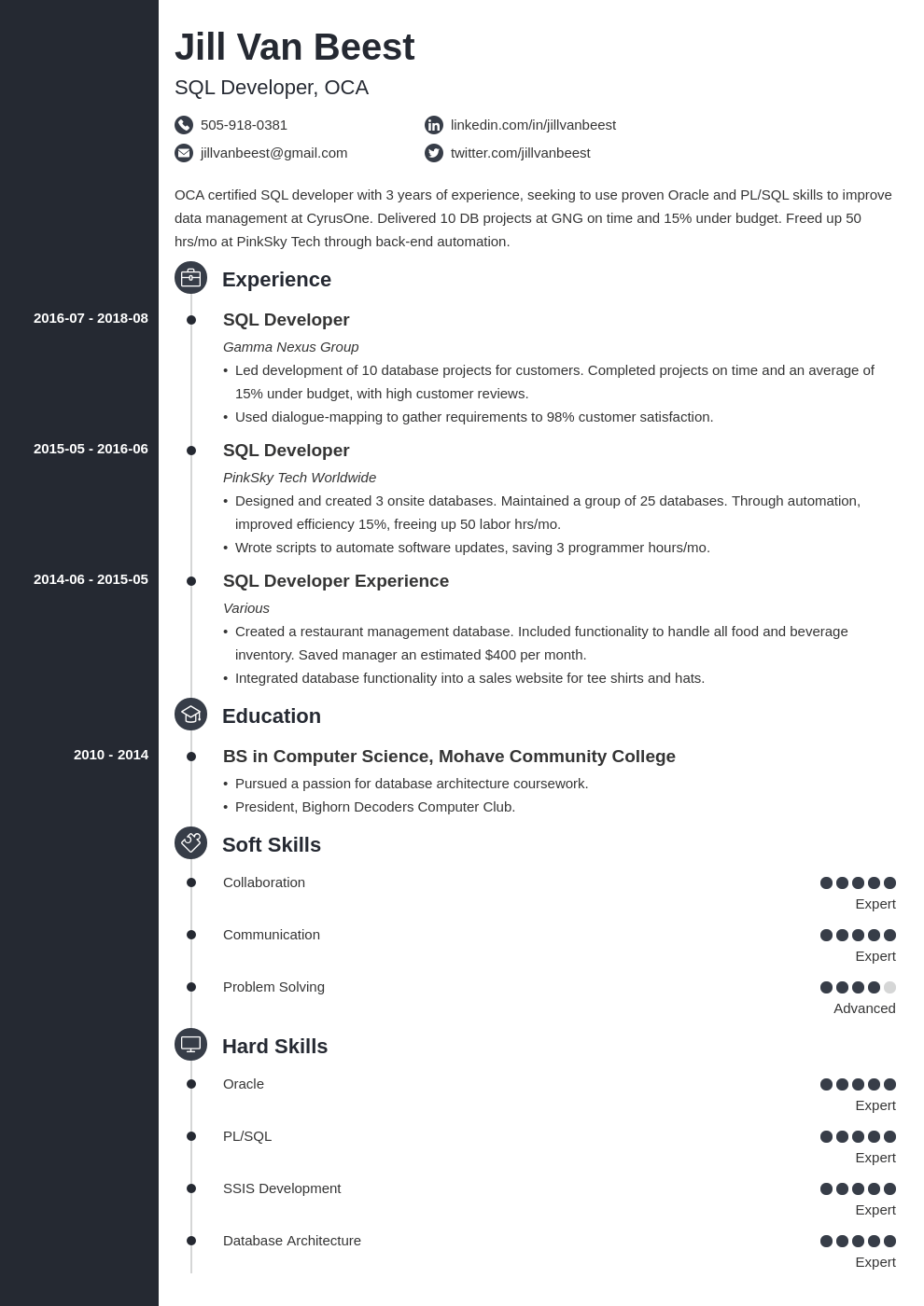 sql developer resume example template concept