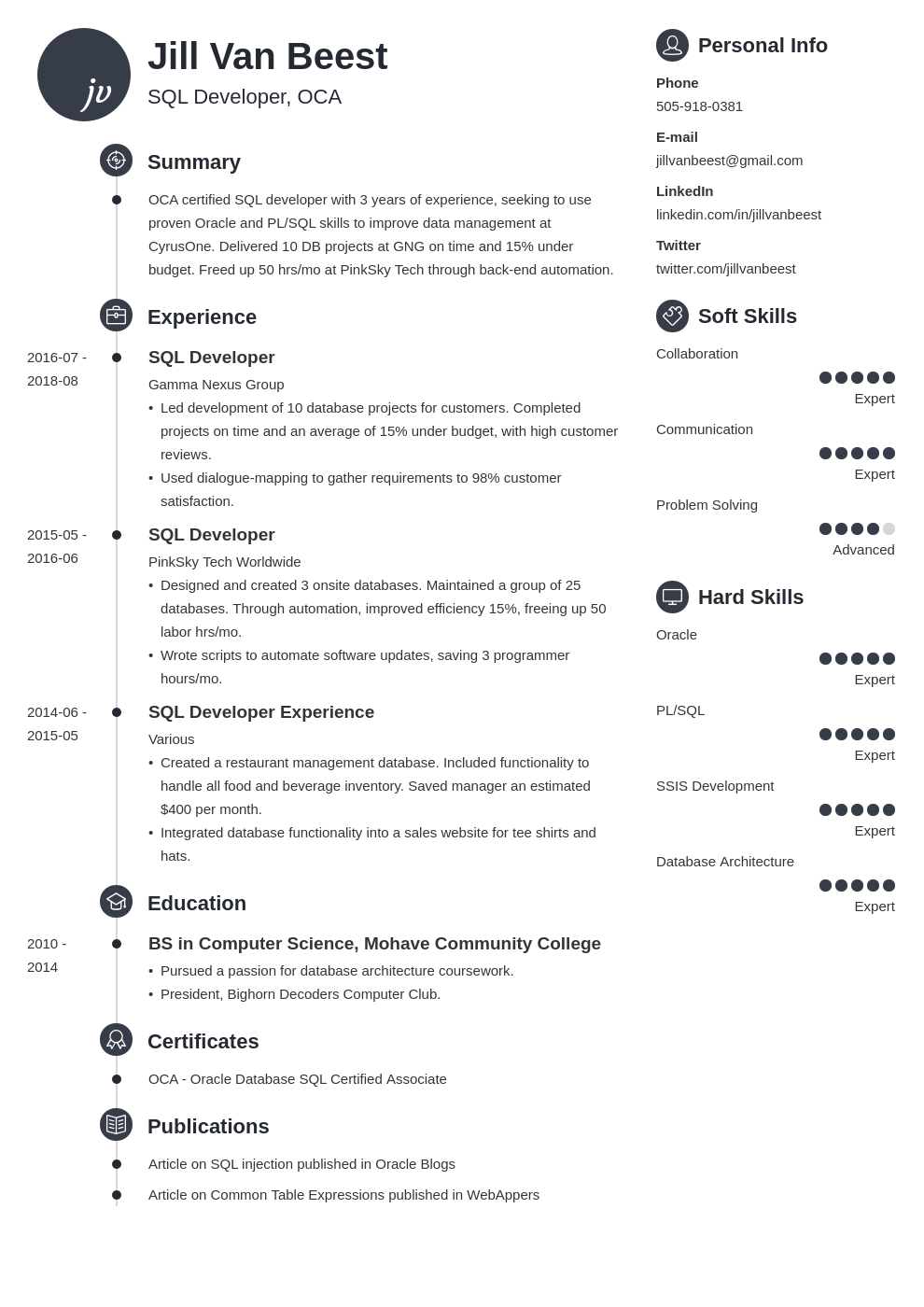 sql developer resume example template primo