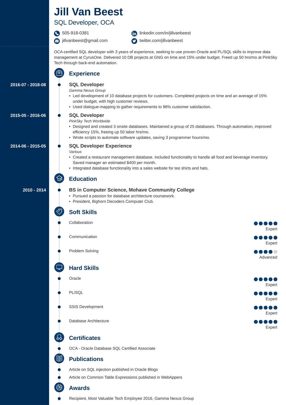 SQL Developer Resume Sample (20+ Examples & Tips)