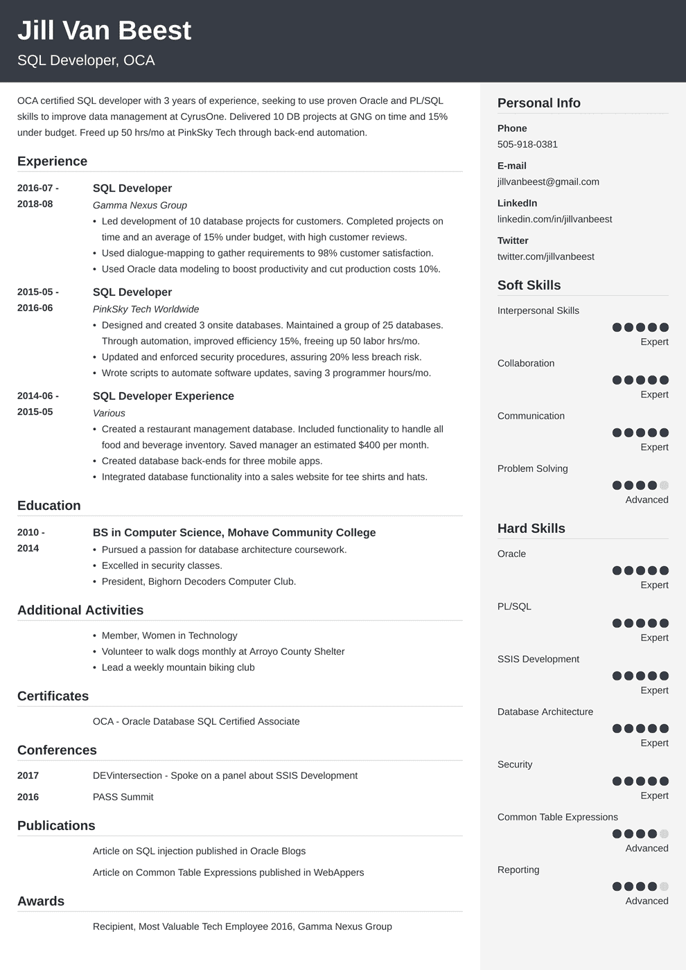 SQL Developer Resume Sample (20+ Examples & Tips)