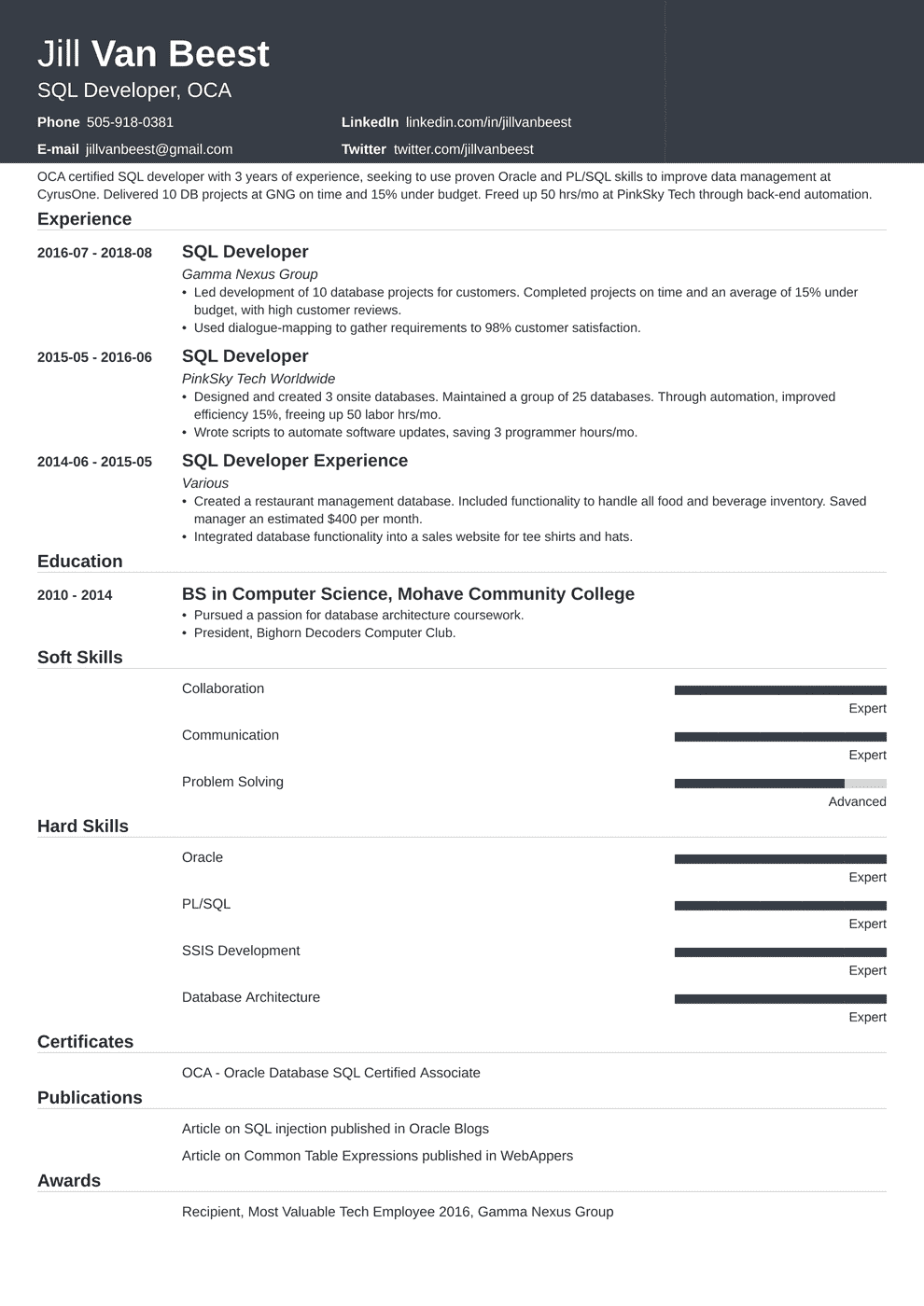 Pl Sql Developer Resume SQL Server Developer Resume Samples