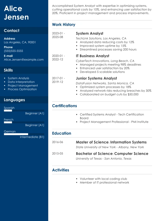 sample resume example