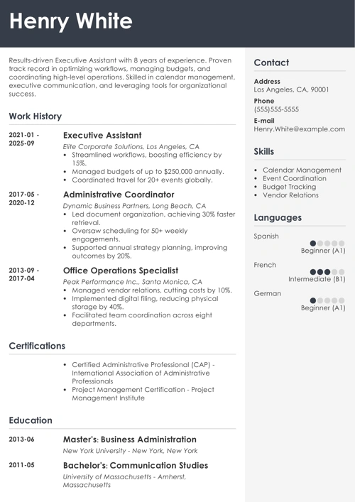 sample resume example