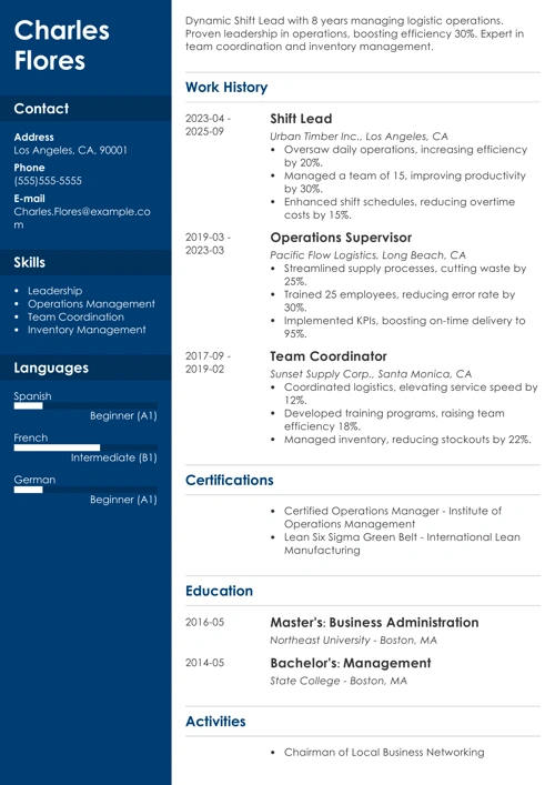 sample resume example