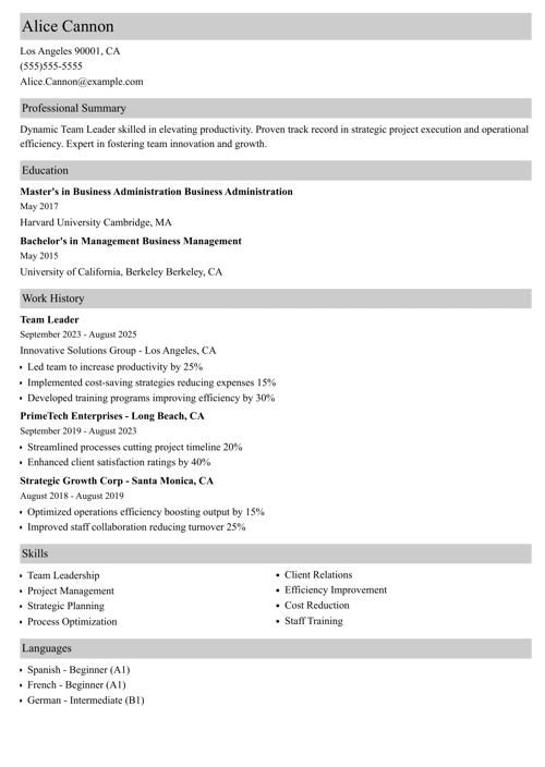 team leader resume example
