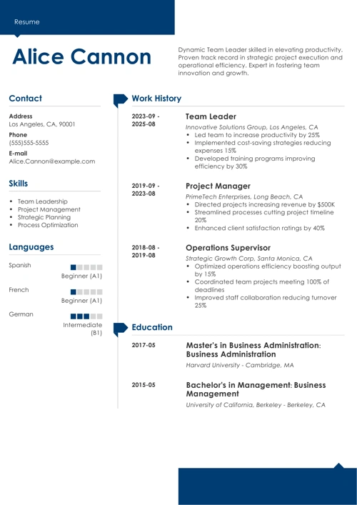team leader resume example