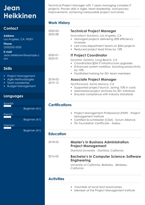 Technical Project Manager resume example