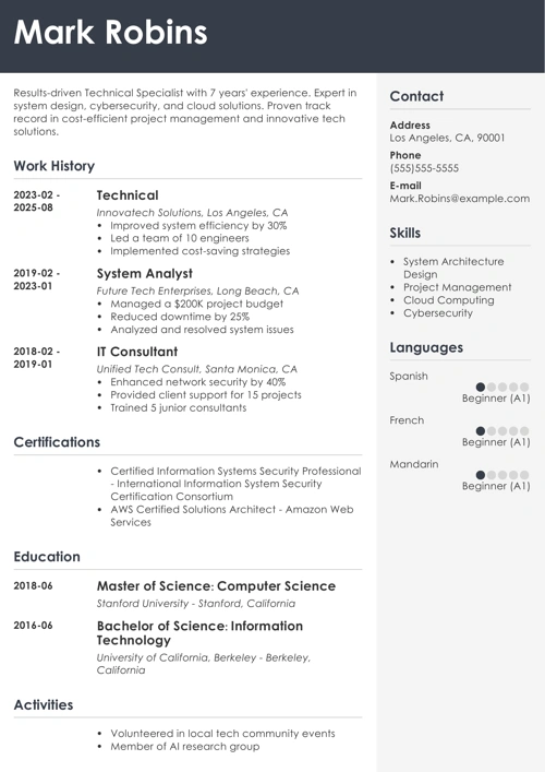 Technical resume example