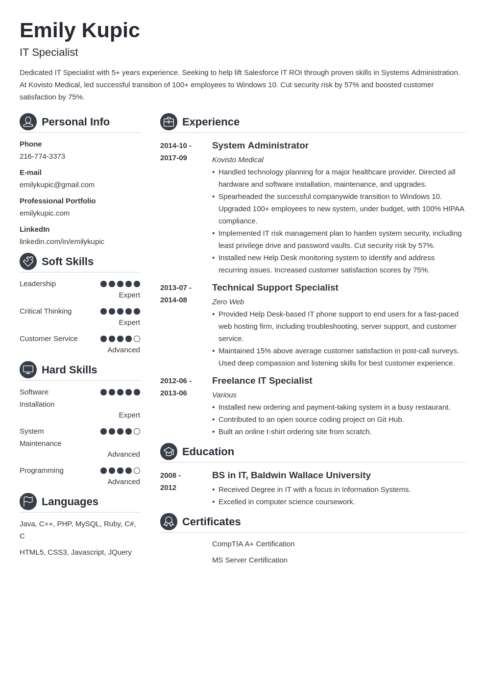 technical resume example template crisp