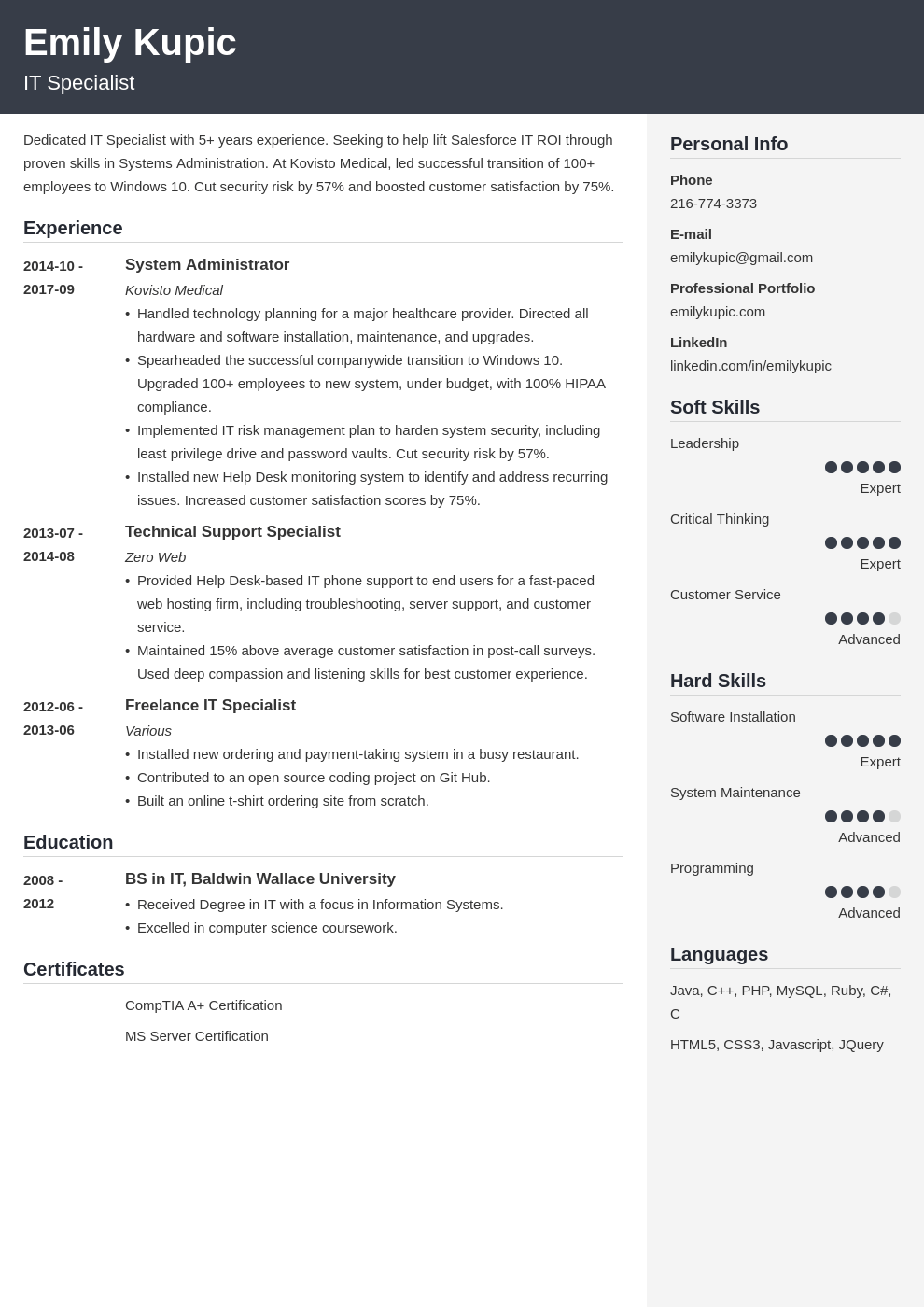technical resume example template cubic