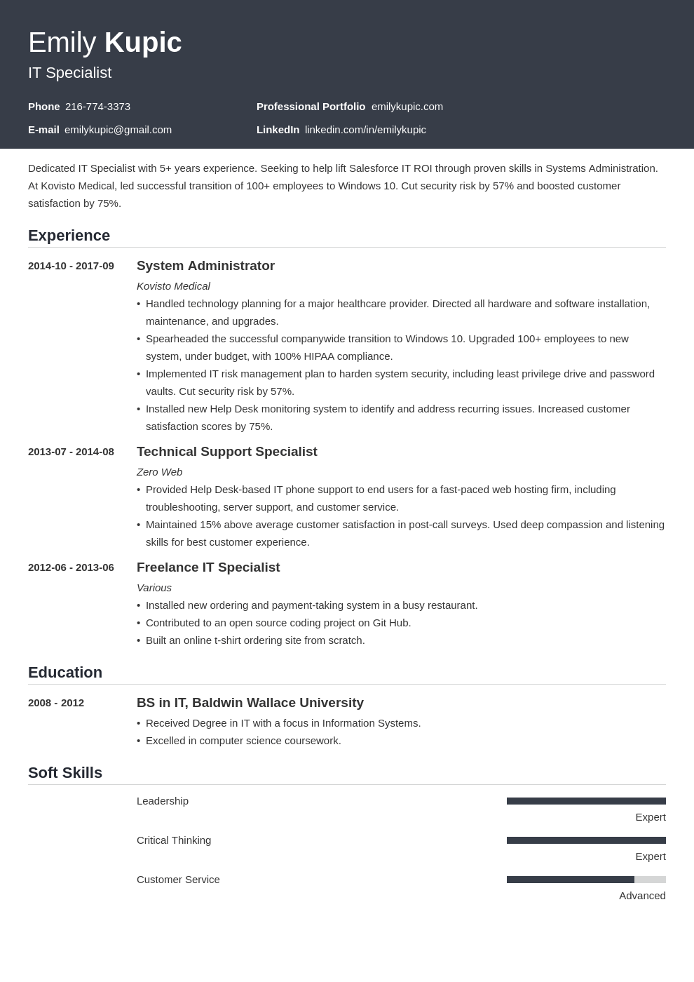 technical resume example template influx