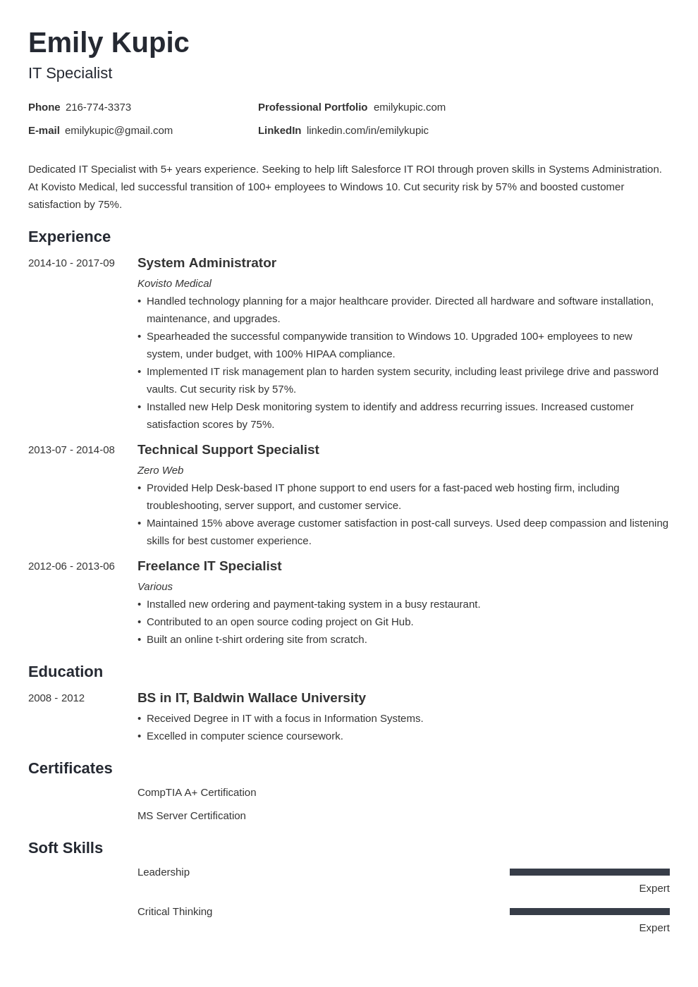 resume examples tech
