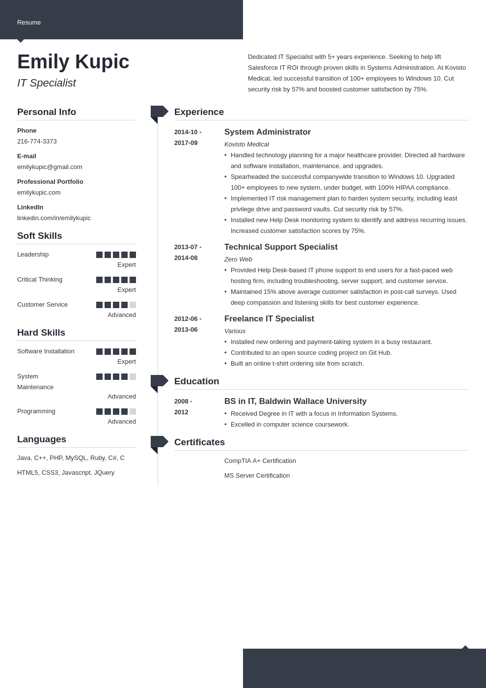 technical resume example template modern