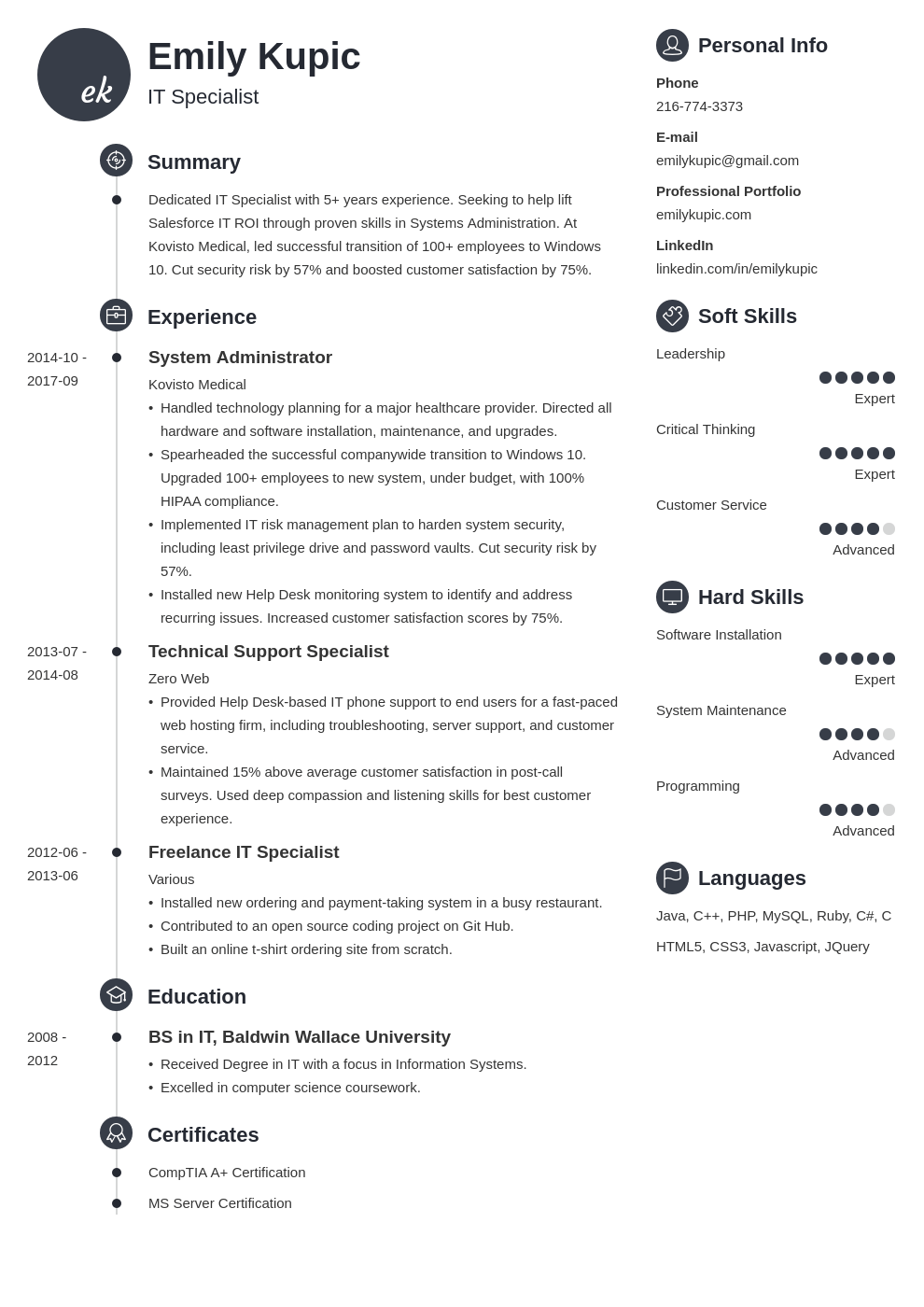 technical resume example template primo