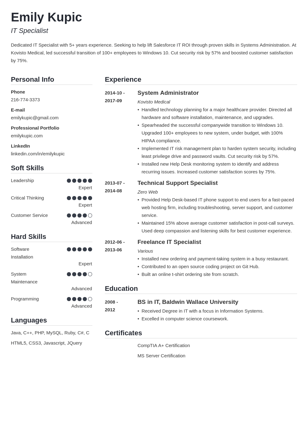 technical resume example template simple