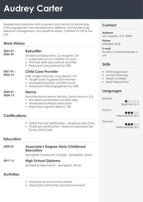 sample resume example