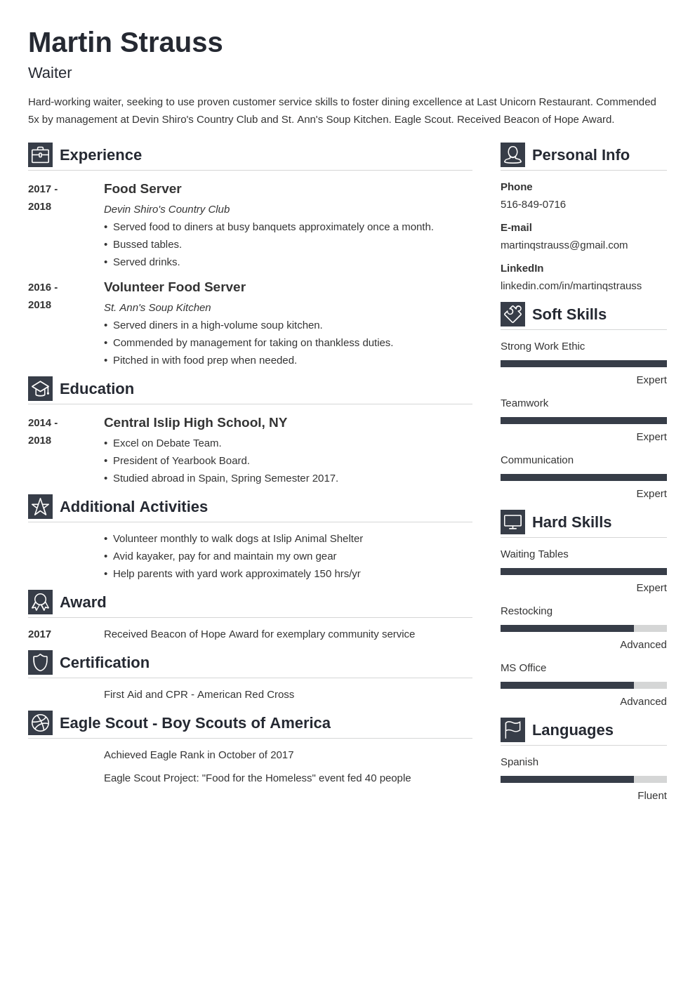 teen resume example template vibes