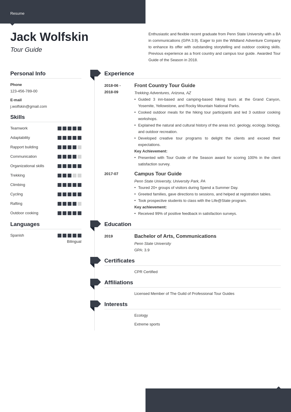 tour guide resume example template modern