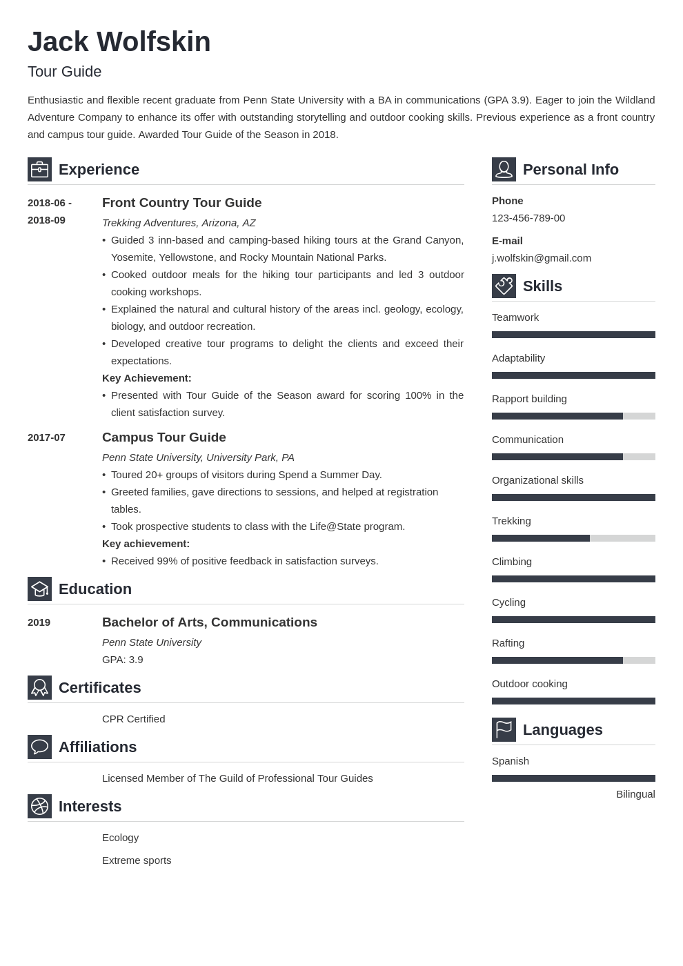 tour guide resume example template vibes