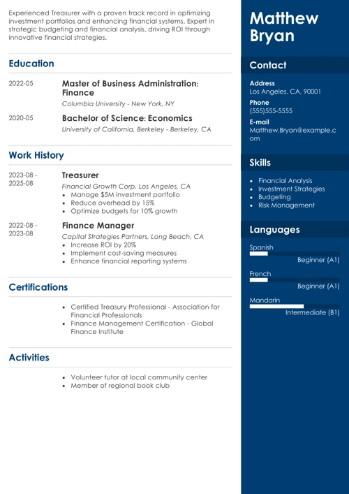 treasurer resume example
