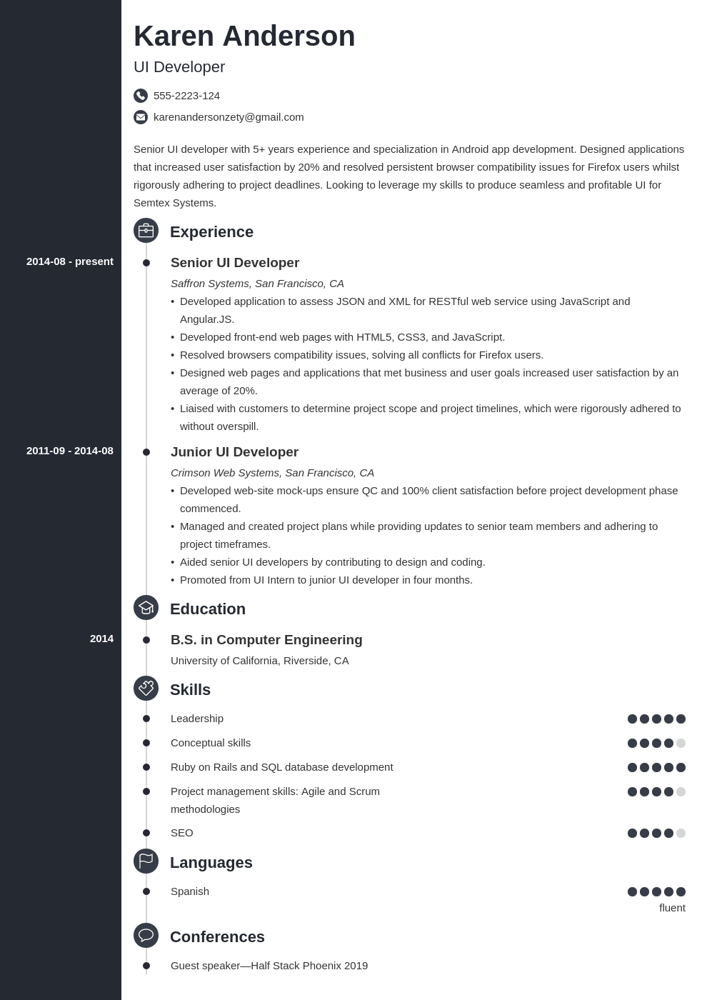 ui developer resume example template concept