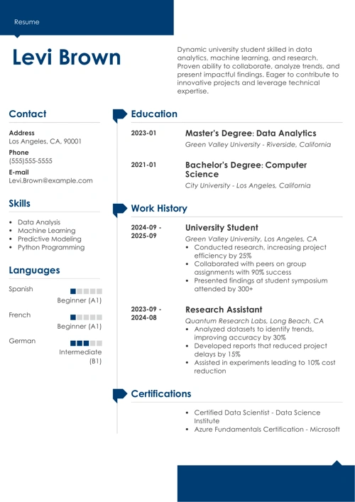 sample resume example