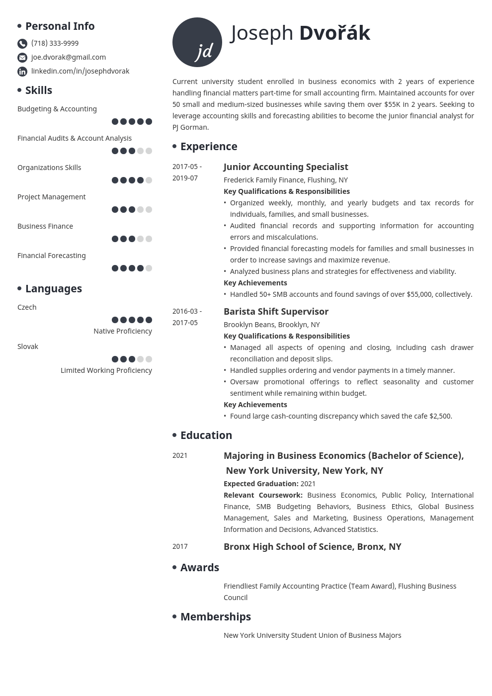 undergraduate resume example template initials