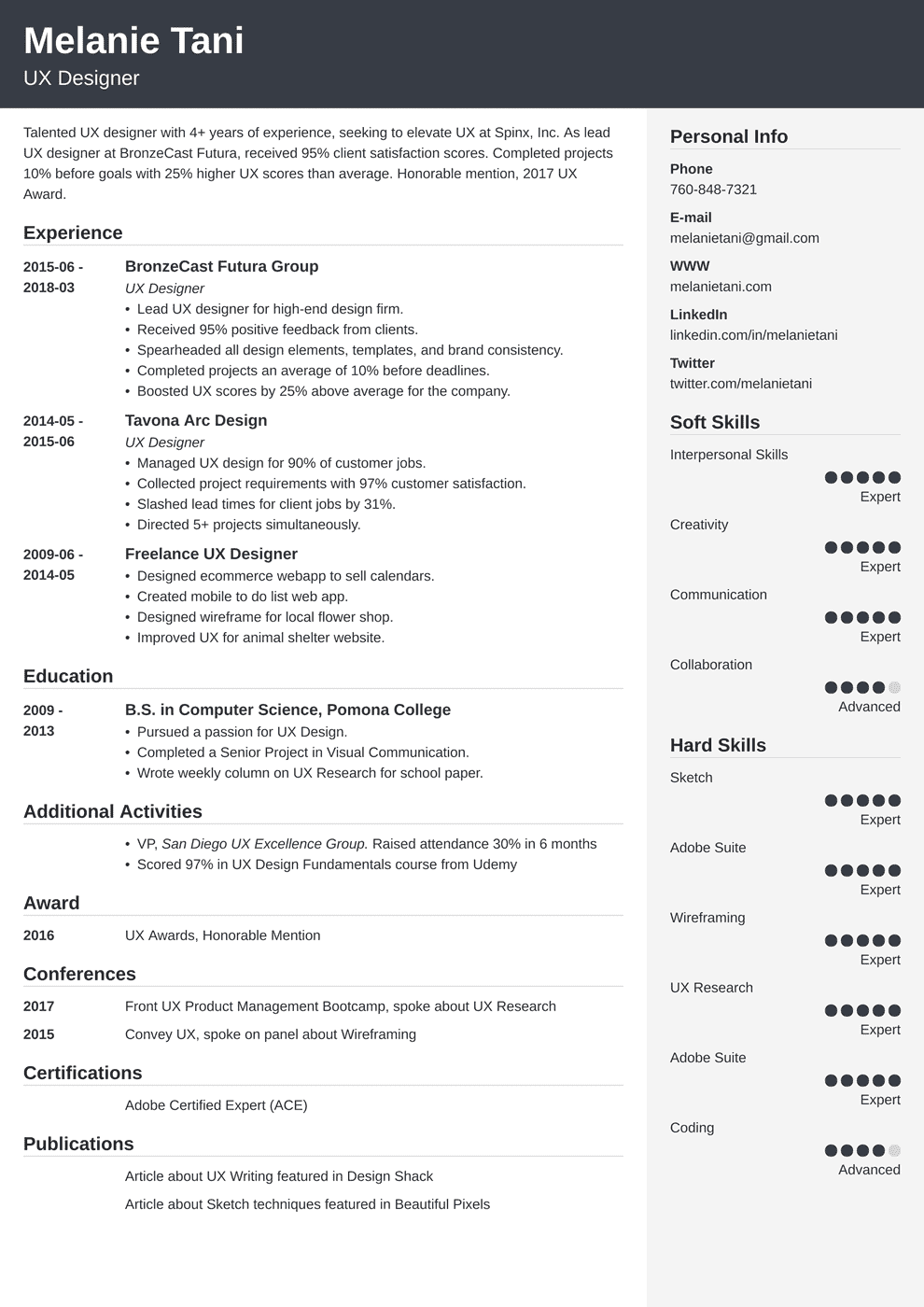 Ux Designer Resume Ui Developer Resume Samples Writing Guide