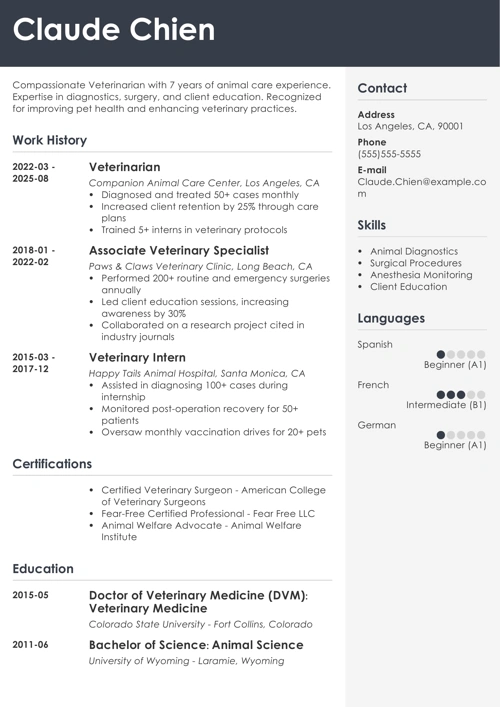 sample resume example