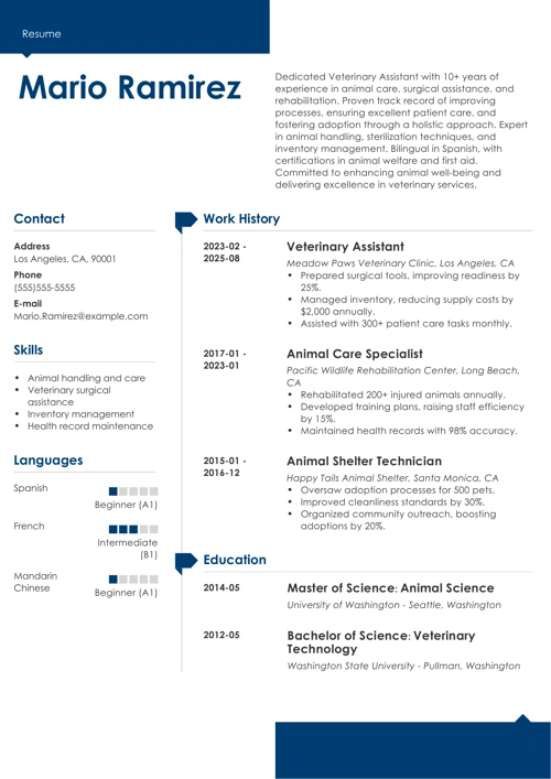 sample resume example