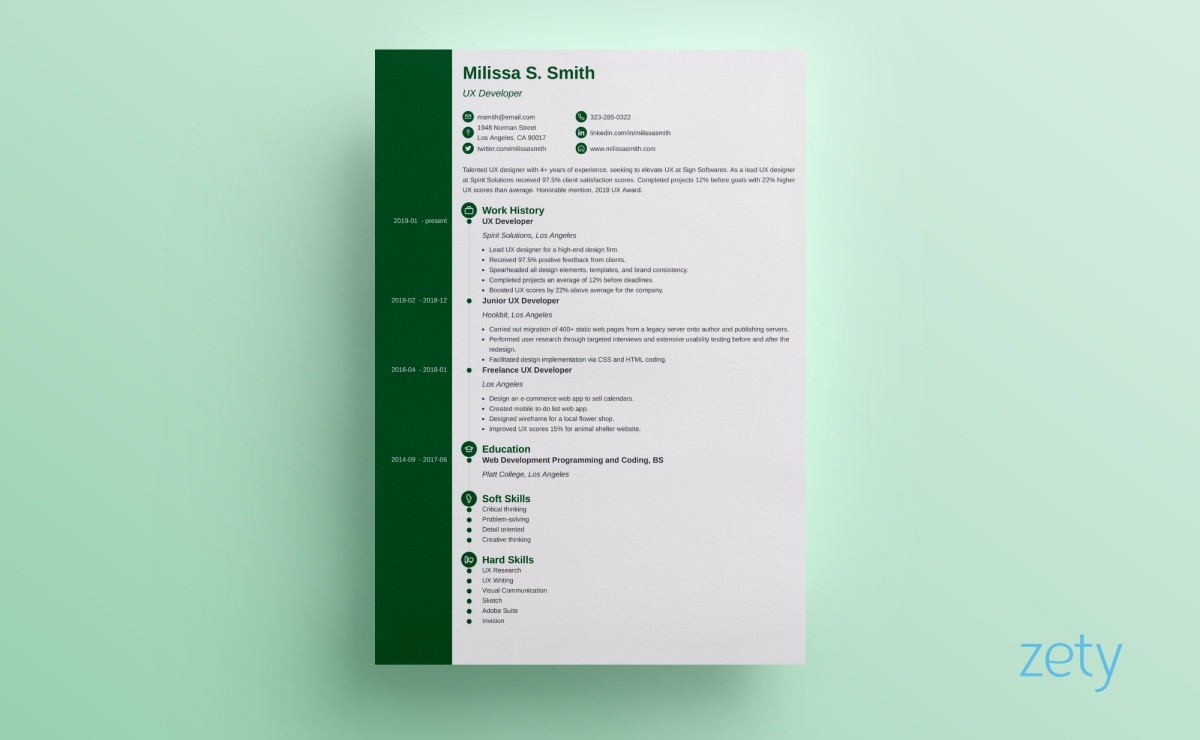 visual resume templates concept