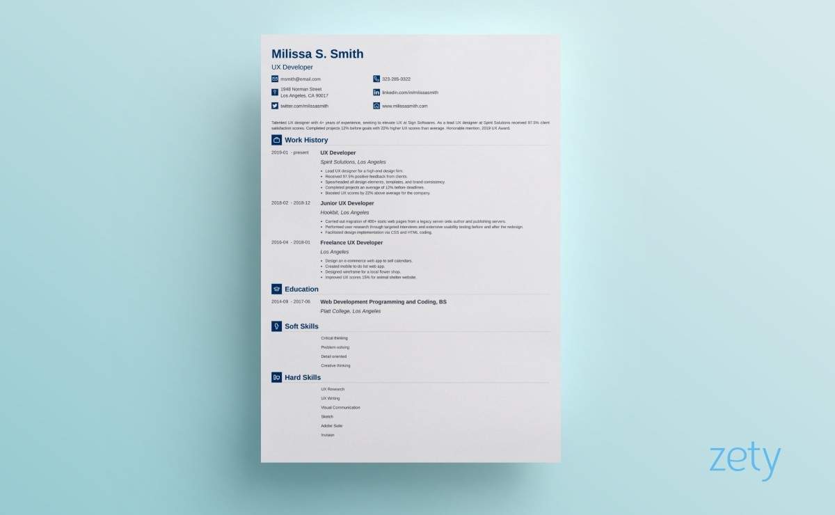 visual resume templates iconic