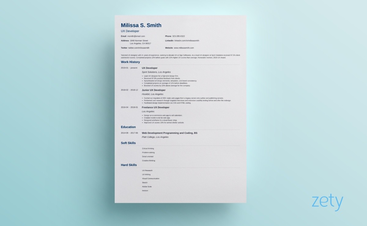 visual resume templates nanica