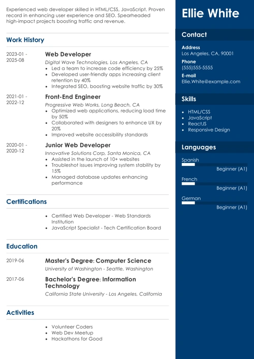 Web Developer resume example