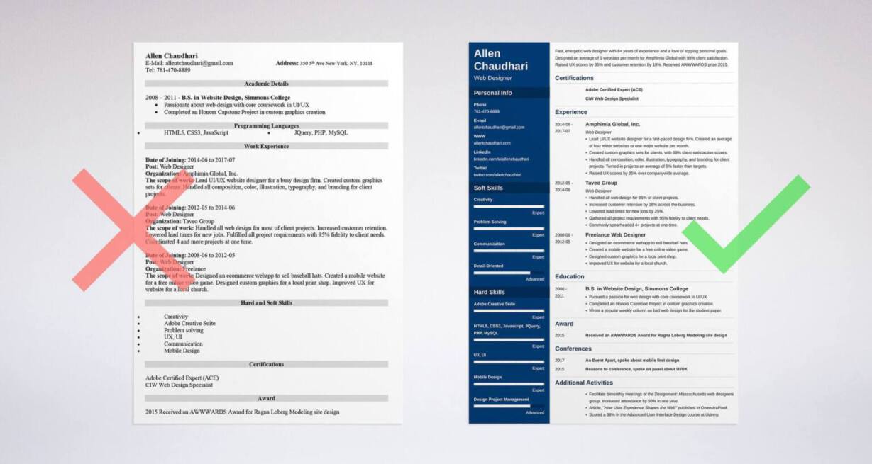 Website Designer Resume Sample