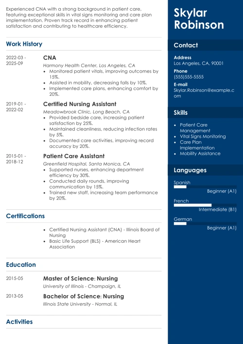sample resume example